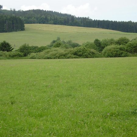 Sport Hotel Ticha Orlice Ústí nad Orlicí Esterno foto