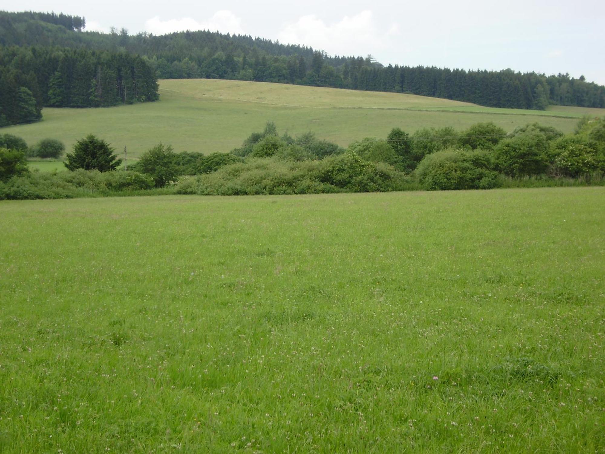 Sport Hotel Ticha Orlice Ústí nad Orlicí Esterno foto